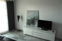 /album/apartment/salon3-jpg1/